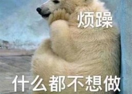 吃瓜群众专用图