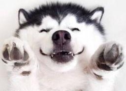 吃瓜群众视频合集在线观看,笑料百出视频合集