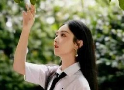 娱乐圈吃瓜古装顶流